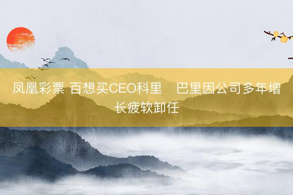 凤凰彩票 百想买CEO科里・巴里因公司多年增长疲软卸任